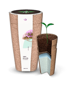 urna biodegradable